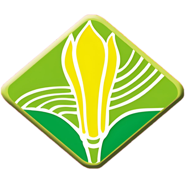 梅州市艺术学校